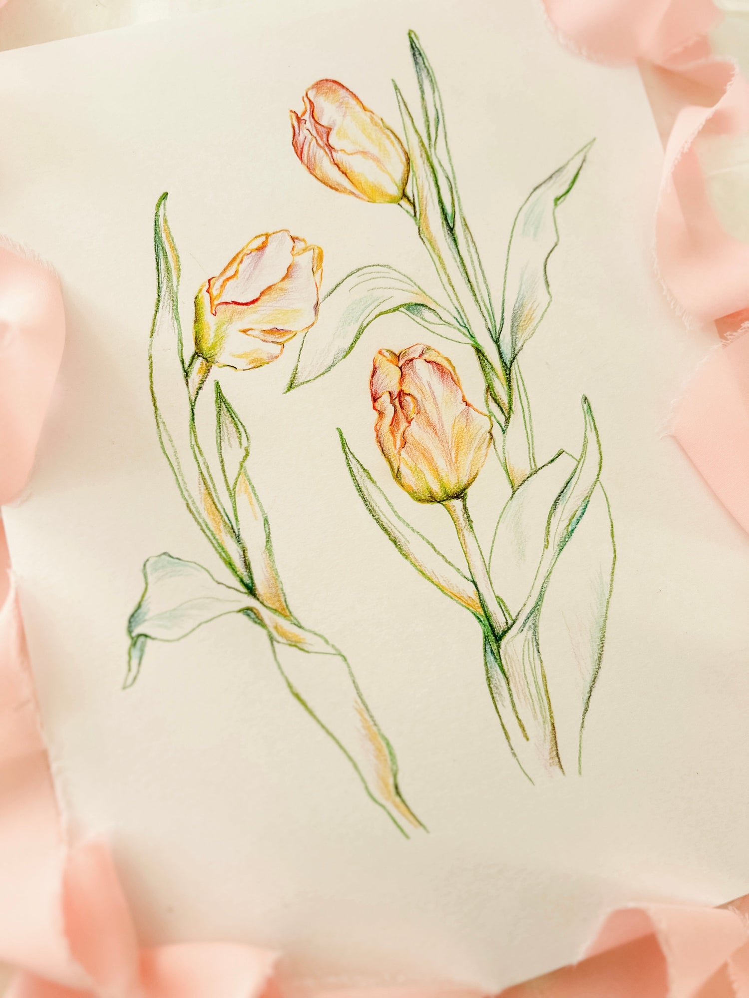 Colored pencil drawing of tulips surrounded by pink ribbon