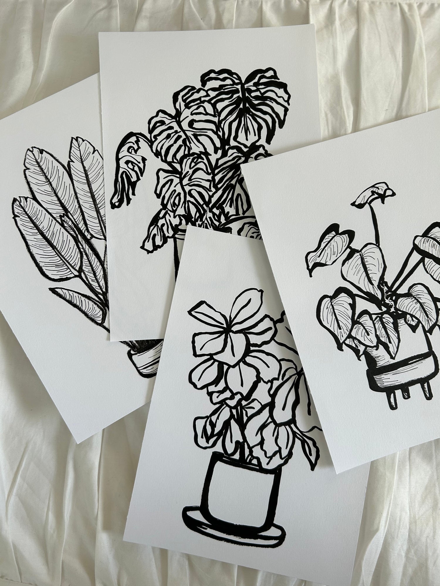 Four black and white ink drawings of houseplants arranged together on a white background