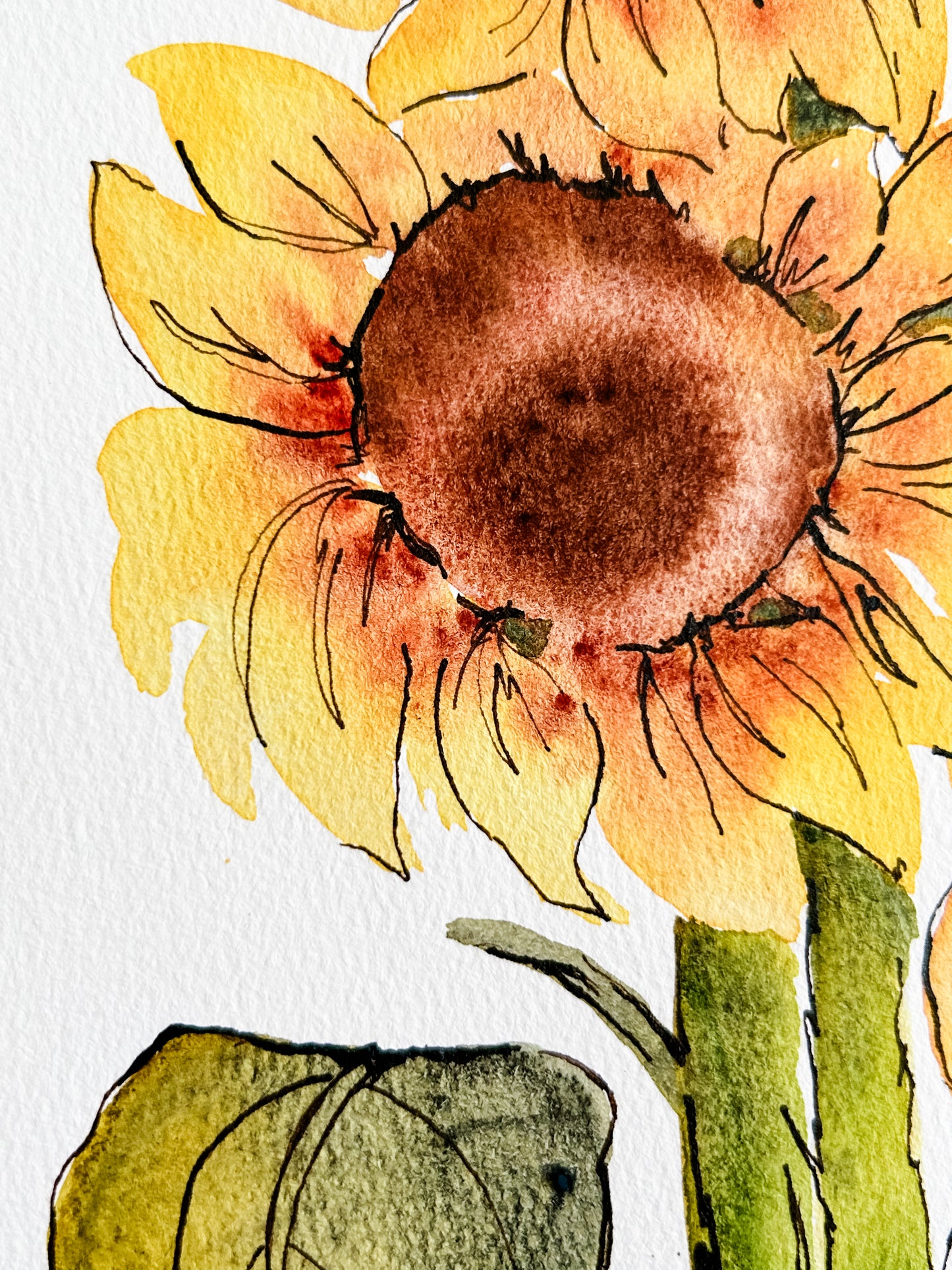 Sunflowers