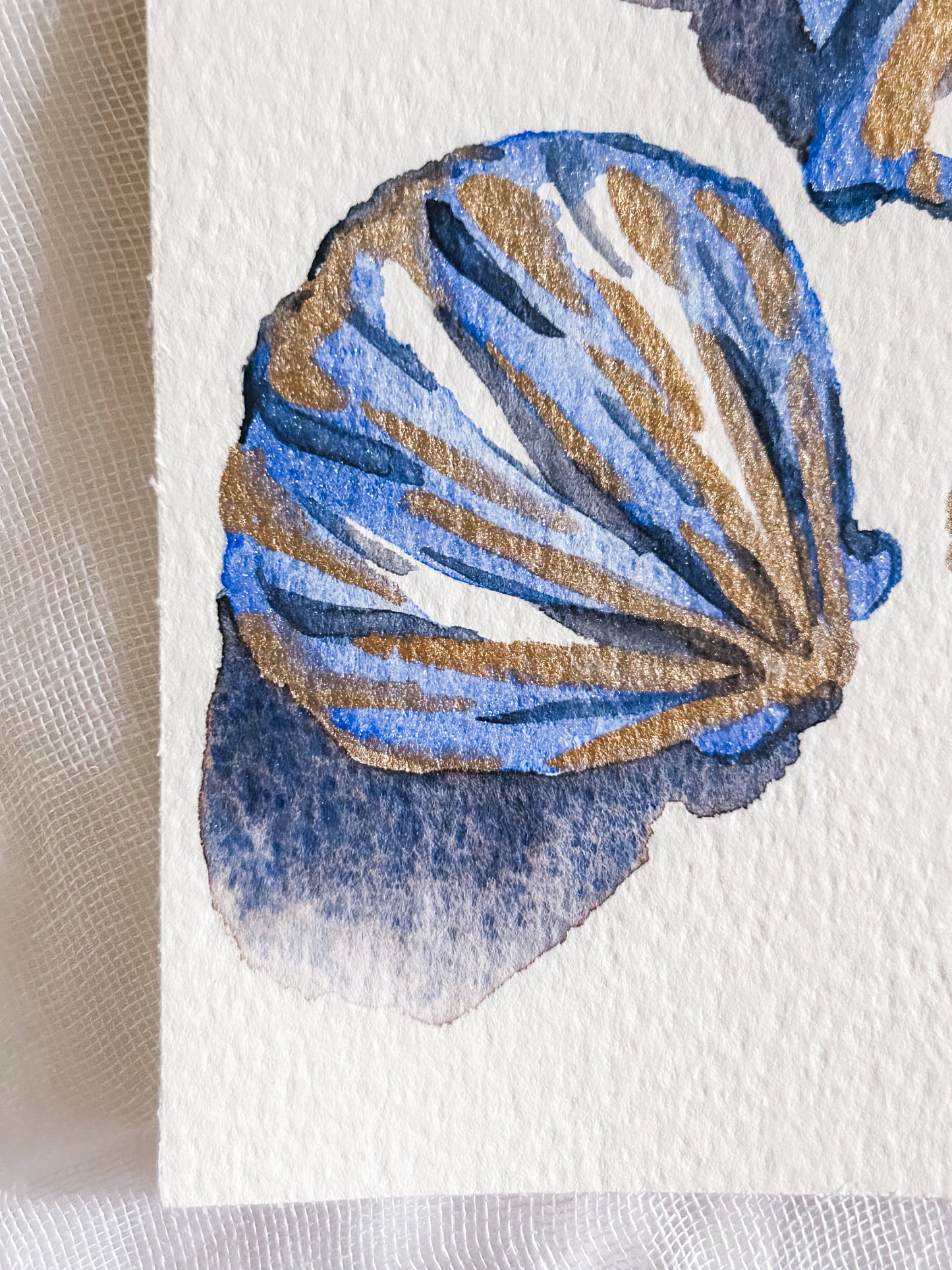 Shell Study in Cobalt