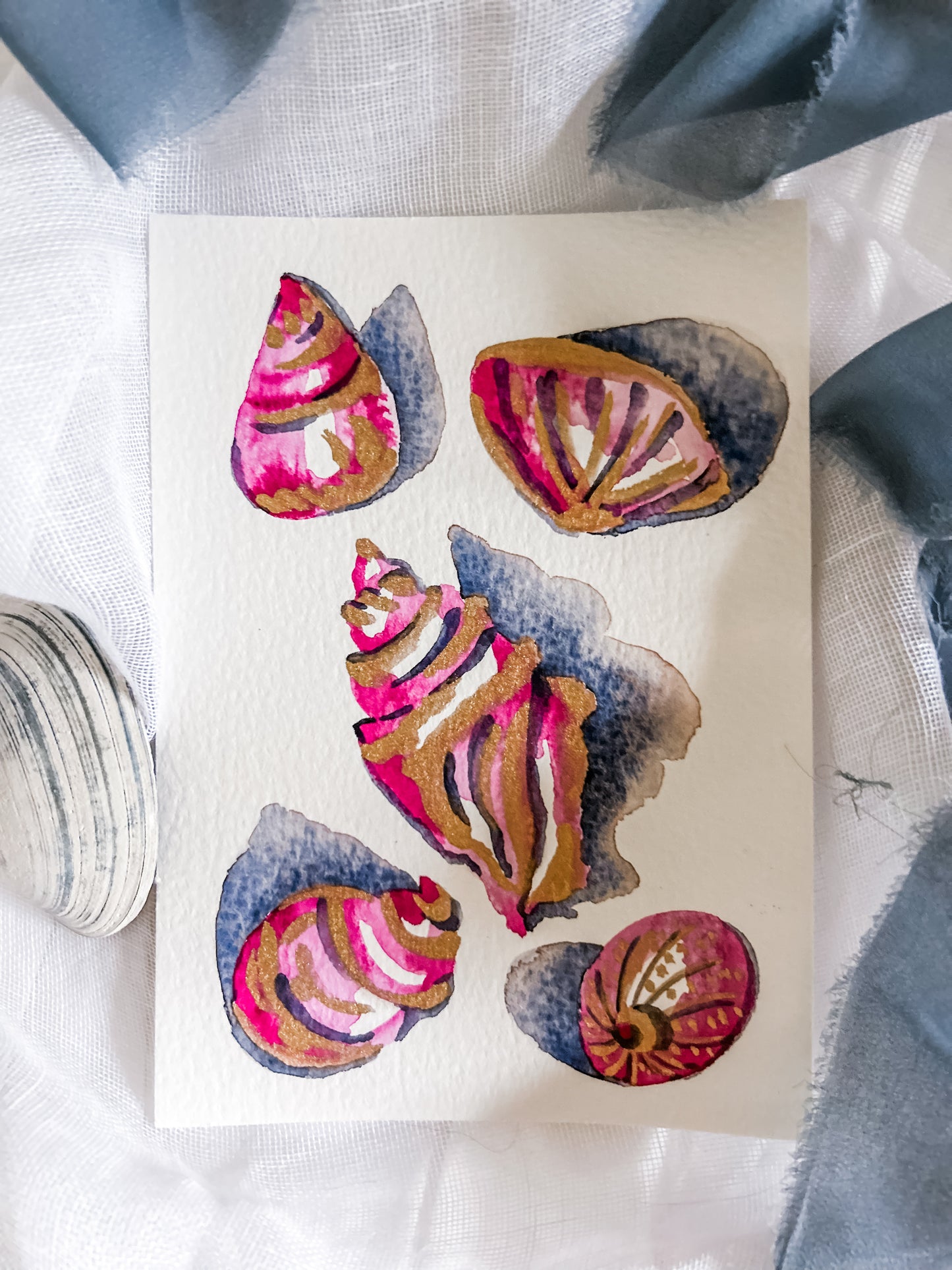 Shell Study in Magenta