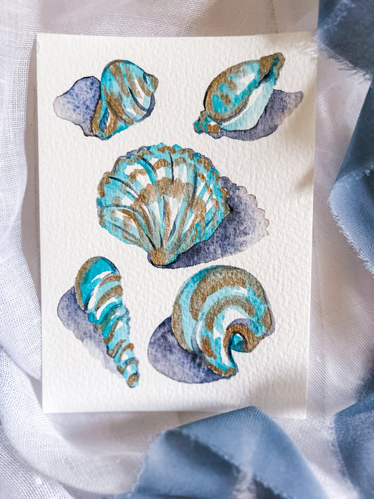 Shell Study in Teal