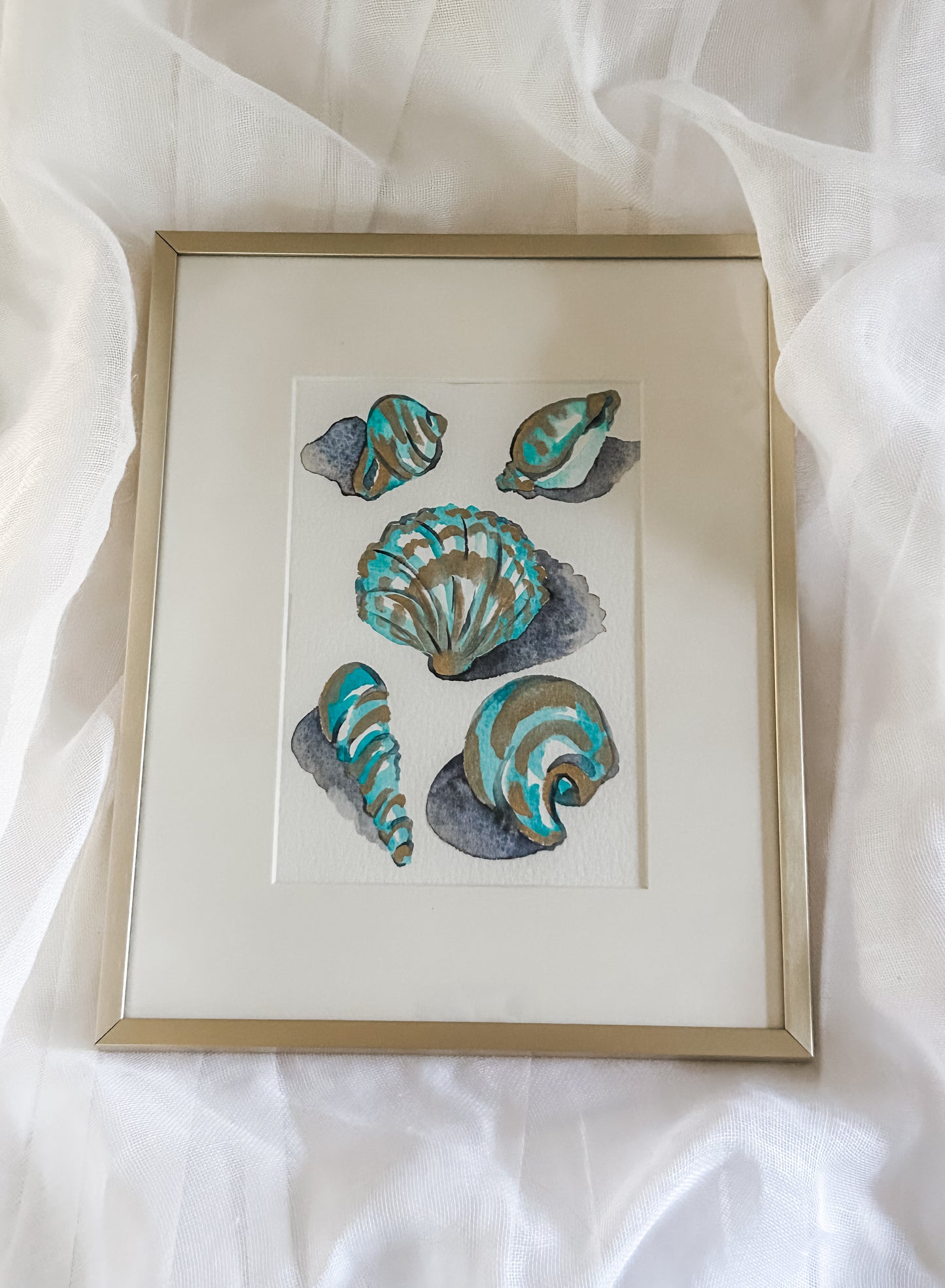 Shell Study in Teal