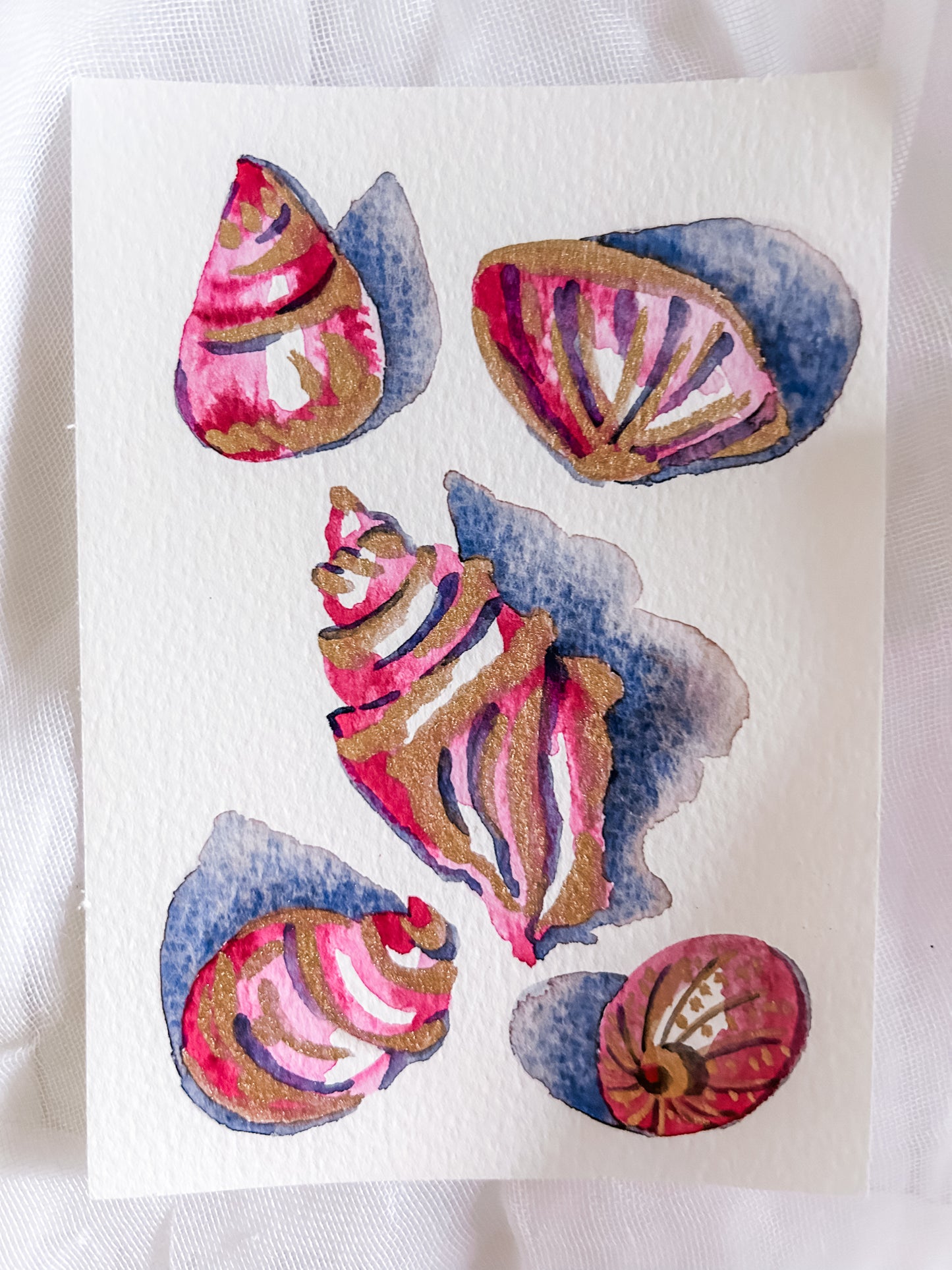 Shell Study in Magenta