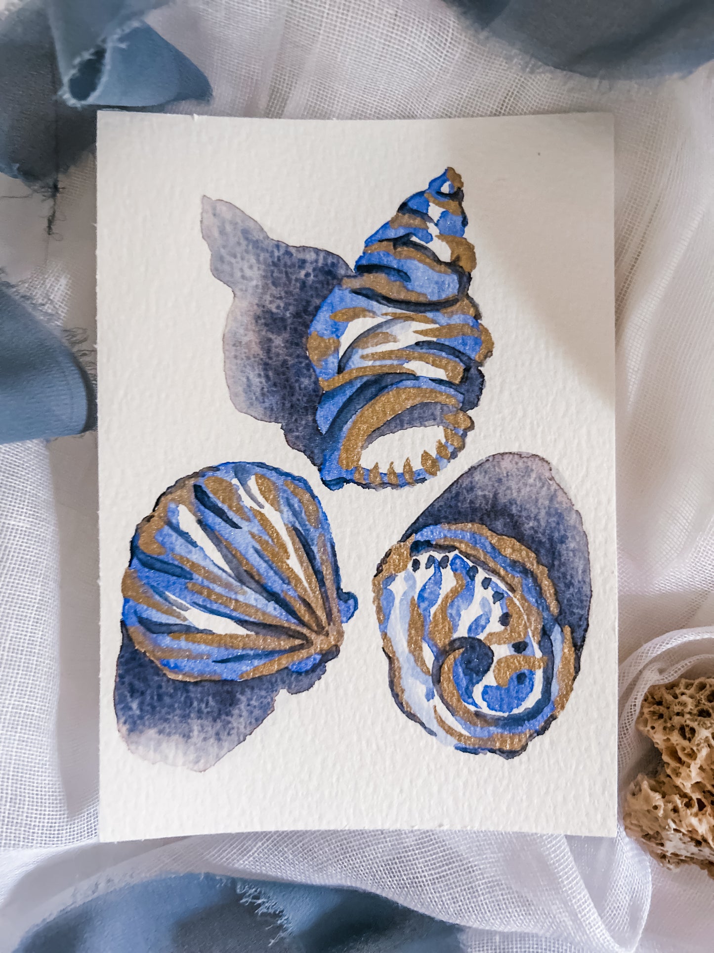 Shell Study in Cobalt