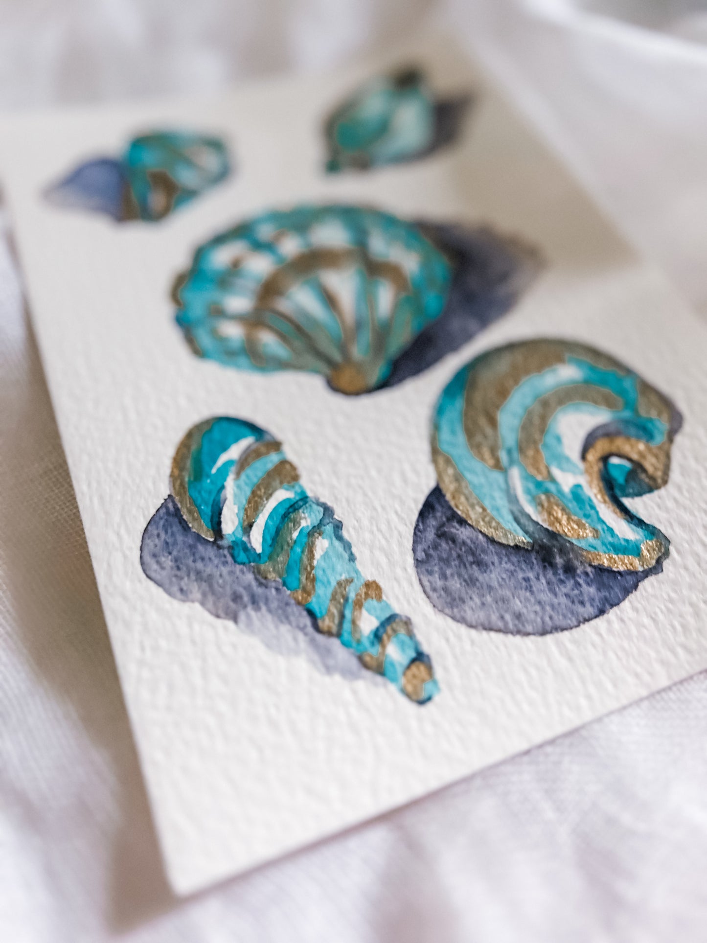 Shell Study in Teal