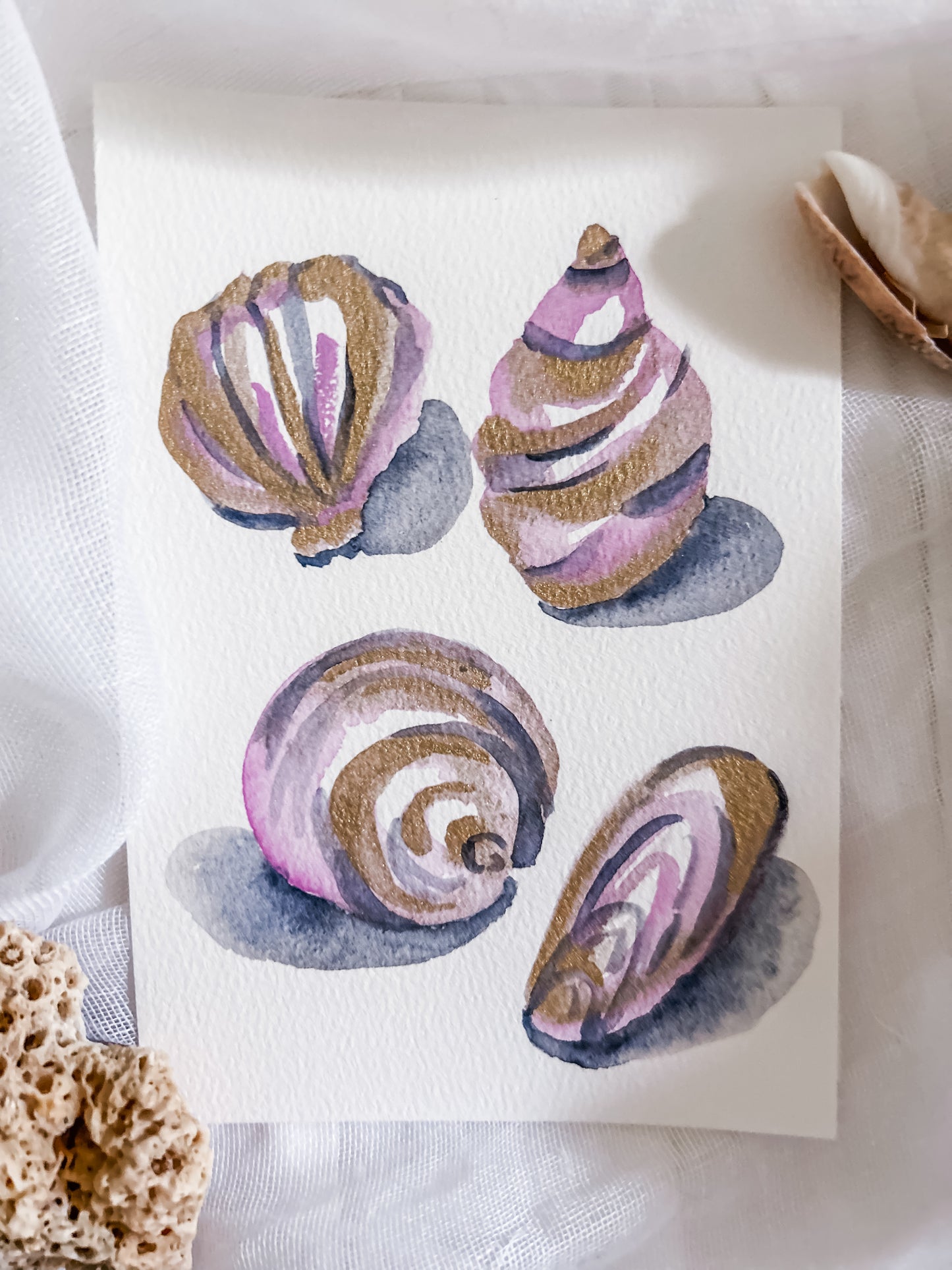 Shell Study in Rose