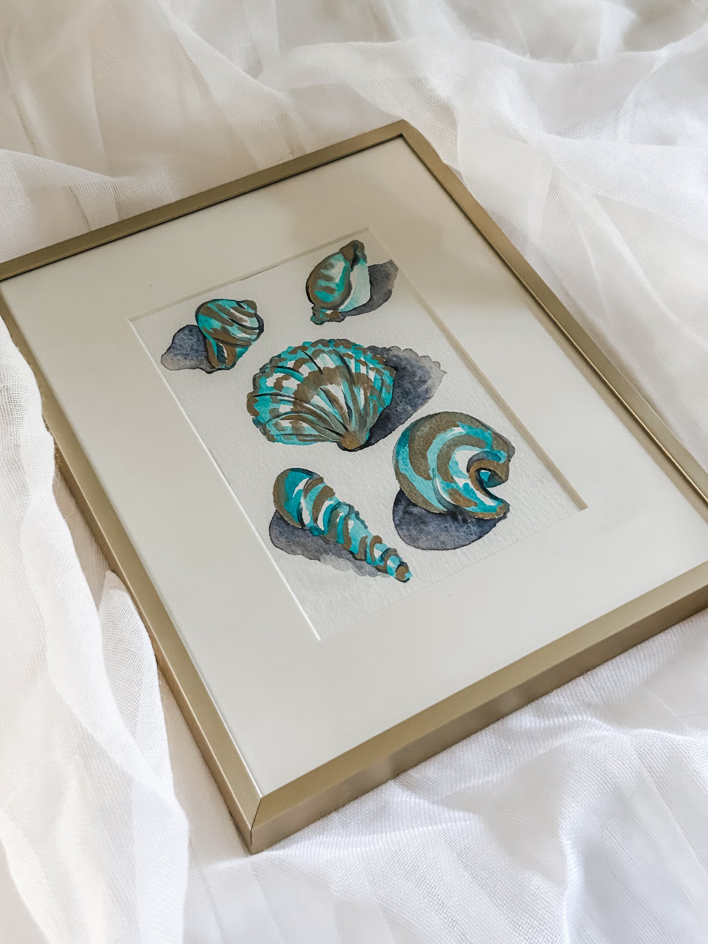 Shell Study in Teal