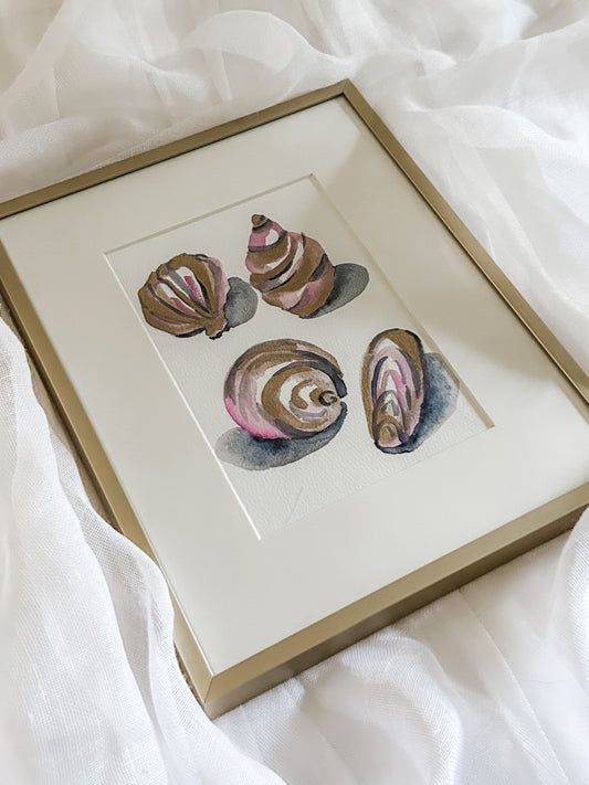 Shell Study in Rose