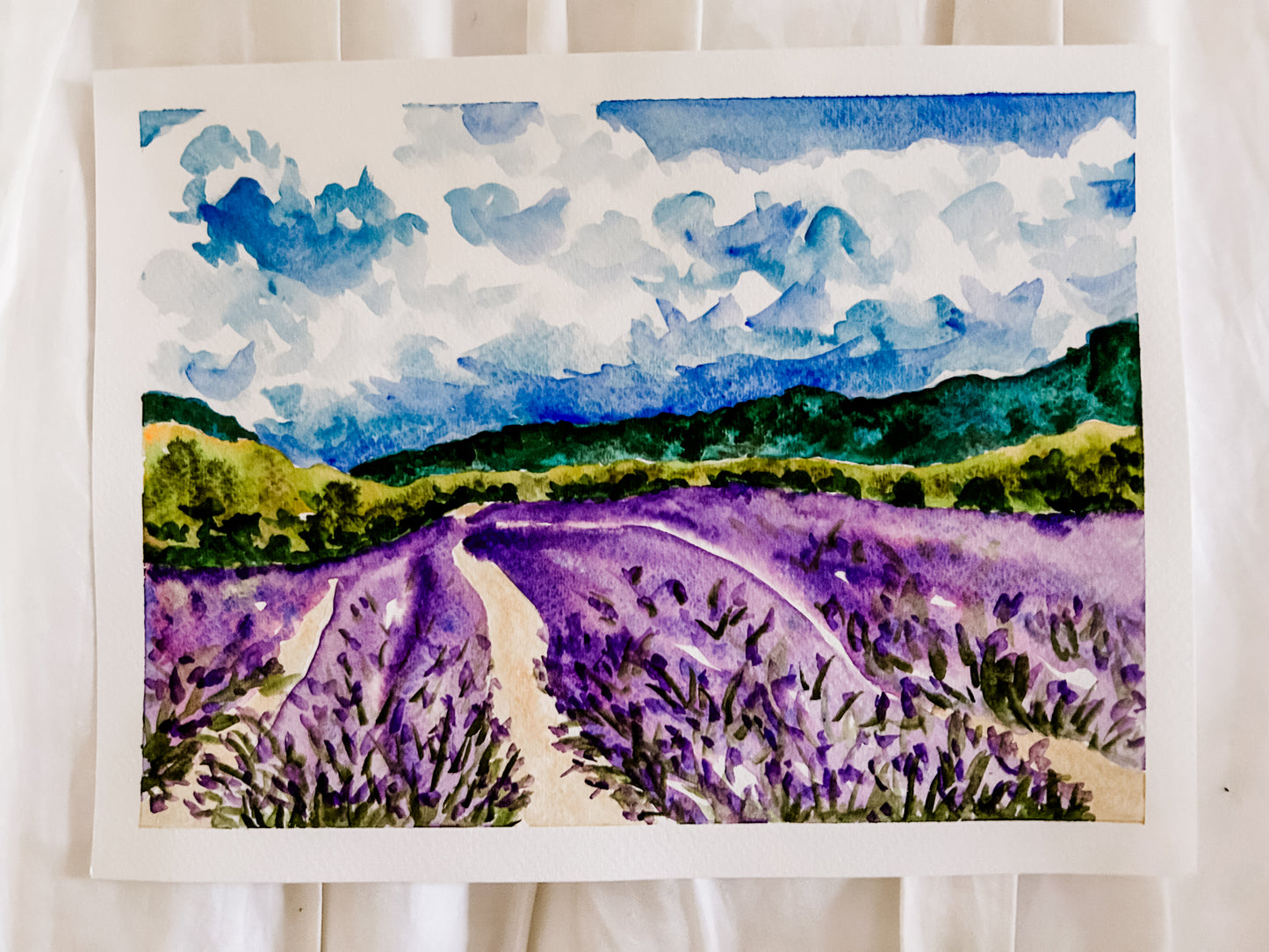 Lavender Fields