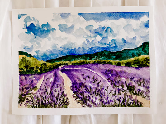 Lavender Fields